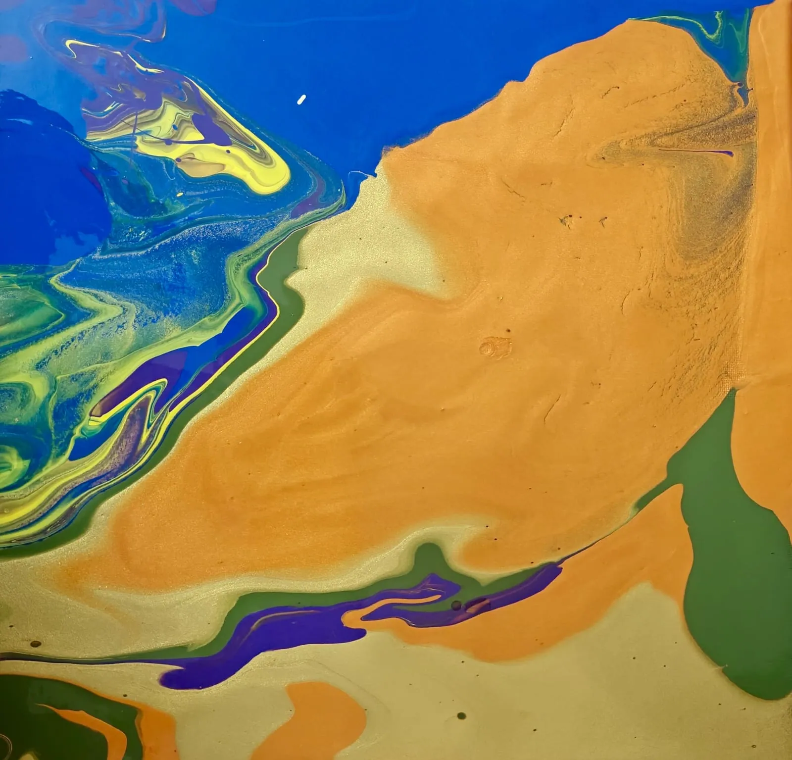 Cobalt water meeting orange and green land, like a river delta photographed from orbit.